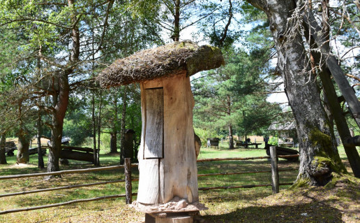 34_Drevine Musteikoje Narkaus.jpg